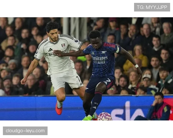 富勒姆强势崛起，英超新贵展现争冠潜力