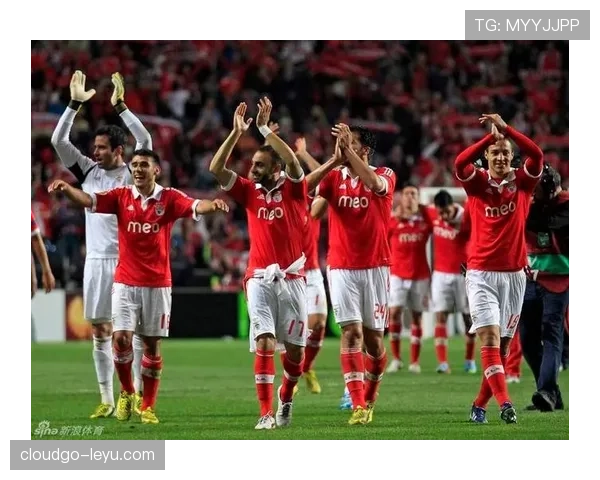 本菲卡稳居联赛前列，强势迎战新赛季挑战