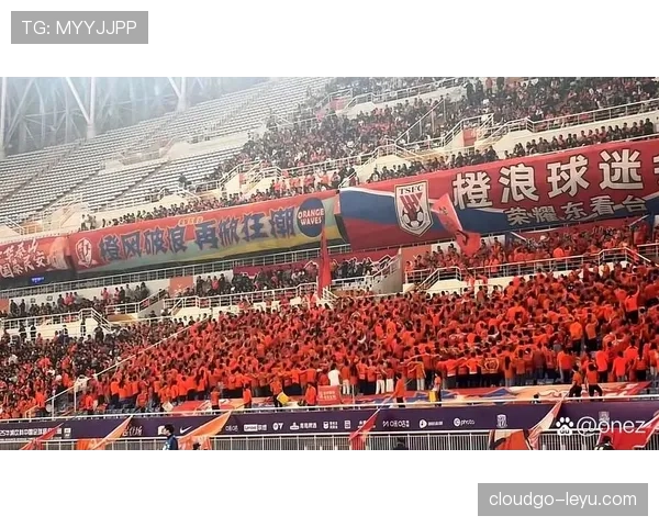 捷克球迷热情助阵，国家队表现持续提升引关注