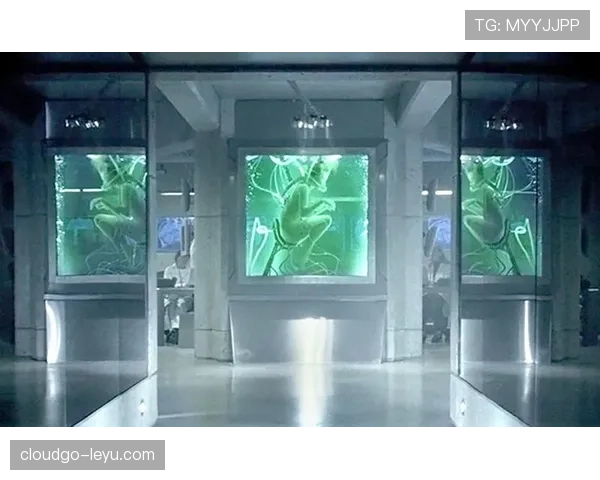 Osimhen 禁区内恐怖终结能力 Osimhen 禁区内恐怖终结能力