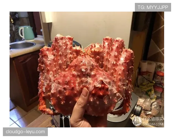 肖若腾赛前啃鸡腿的样子，像极了我熬夜追剧的宵夜时刻